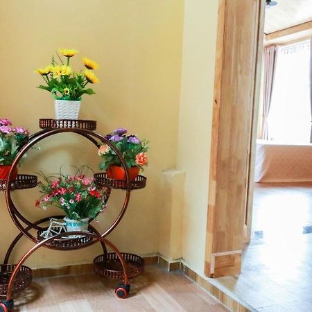 Cat Ba Vintage Homestay קאט בה מראה חיצוני תמונה
