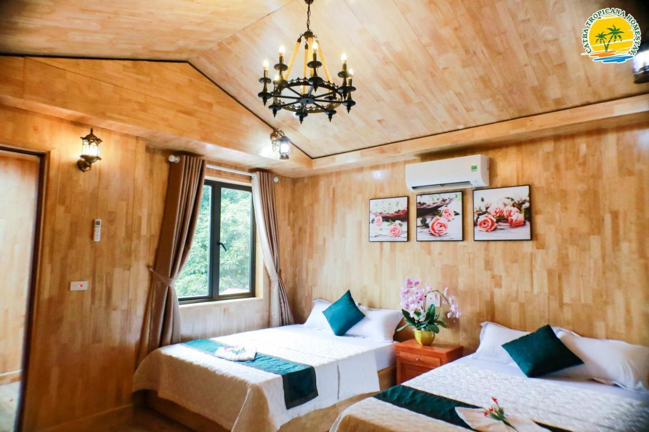 Cat Ba Vintage Homestay קאט בה מראה חיצוני תמונה