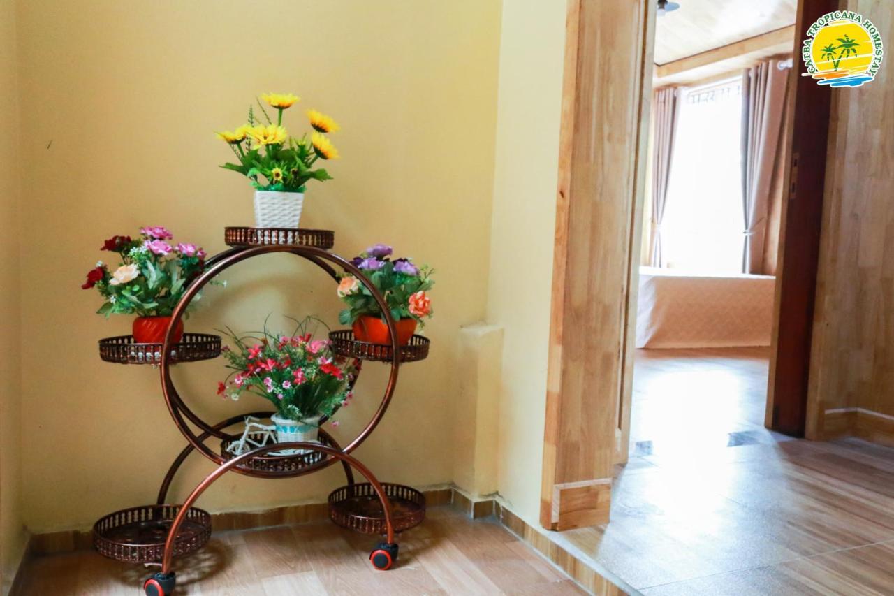 Cat Ba Vintage Homestay קאט בה מראה חיצוני תמונה