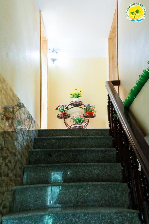 Cat Ba Vintage Homestay קאט בה מראה חיצוני תמונה