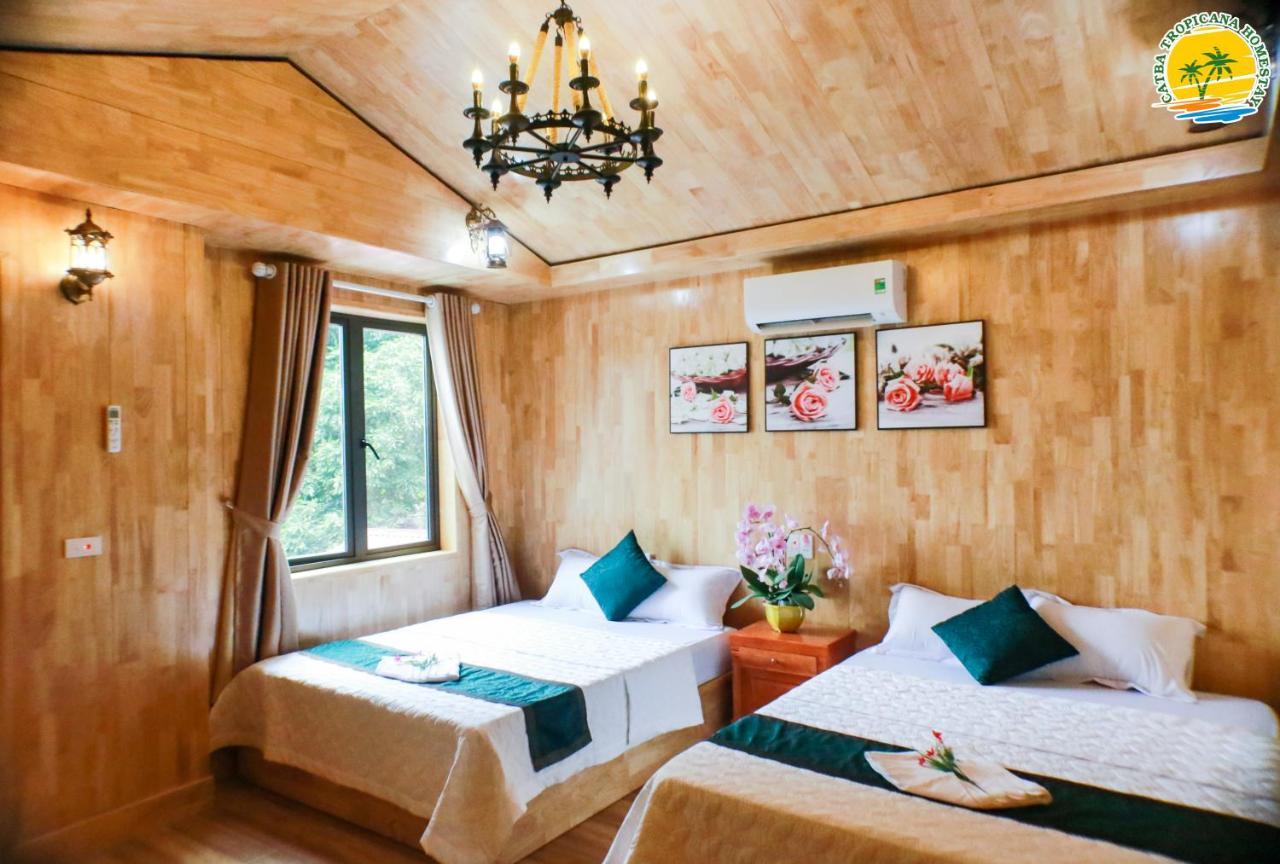 Cat Ba Vintage Homestay קאט בה מראה חיצוני תמונה
